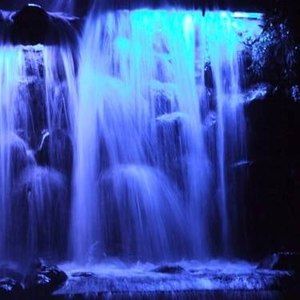 Meet your Posher, Vickie